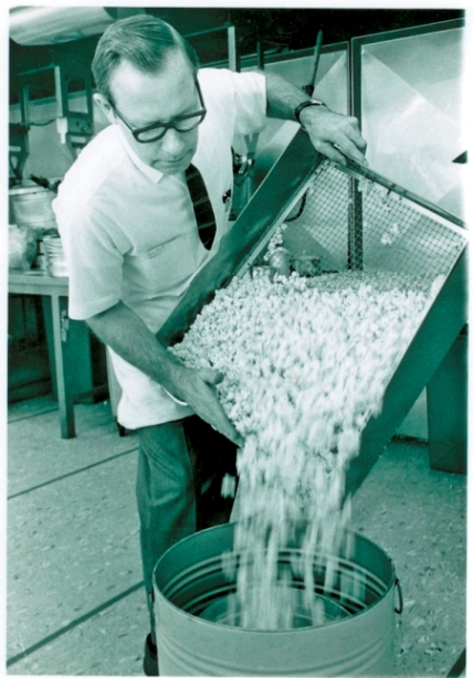 Ken White in the 1960s